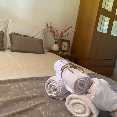 Casa vacanze Maria's House Sykia Chalkidikis
